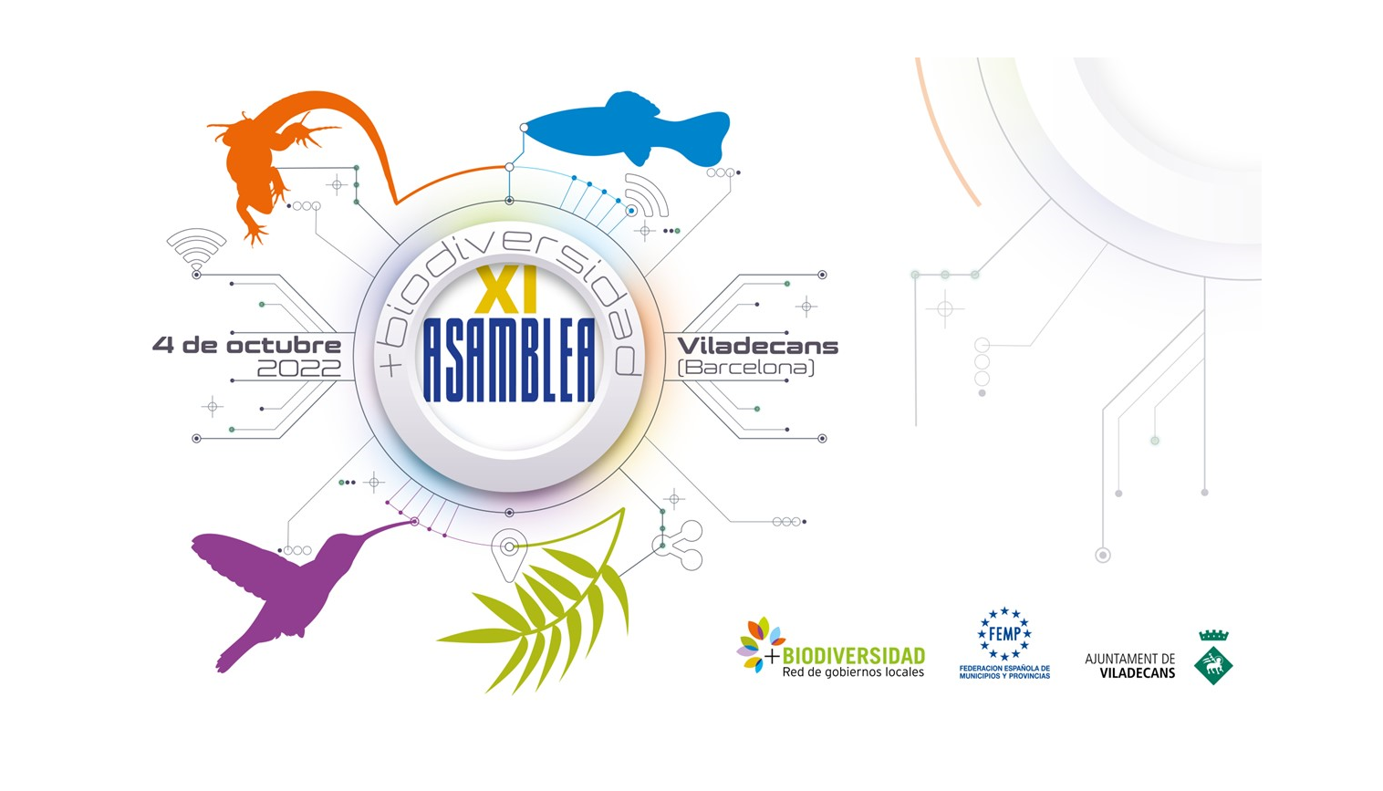 XI Asamblea