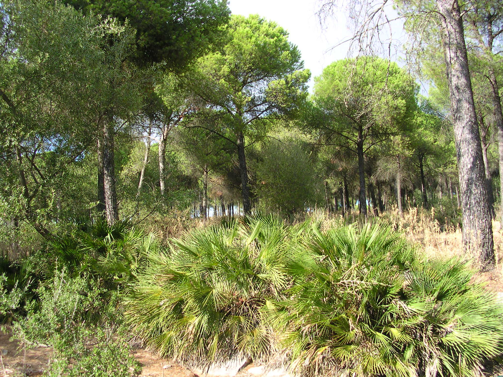 Posadas, Córdoba