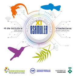 XI Asamblea