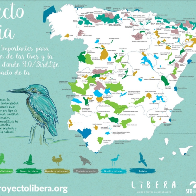 Foto Ciencia LIBERA