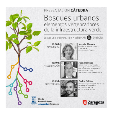 Primera cátedra española dedicada a la infraestructura verde urbana