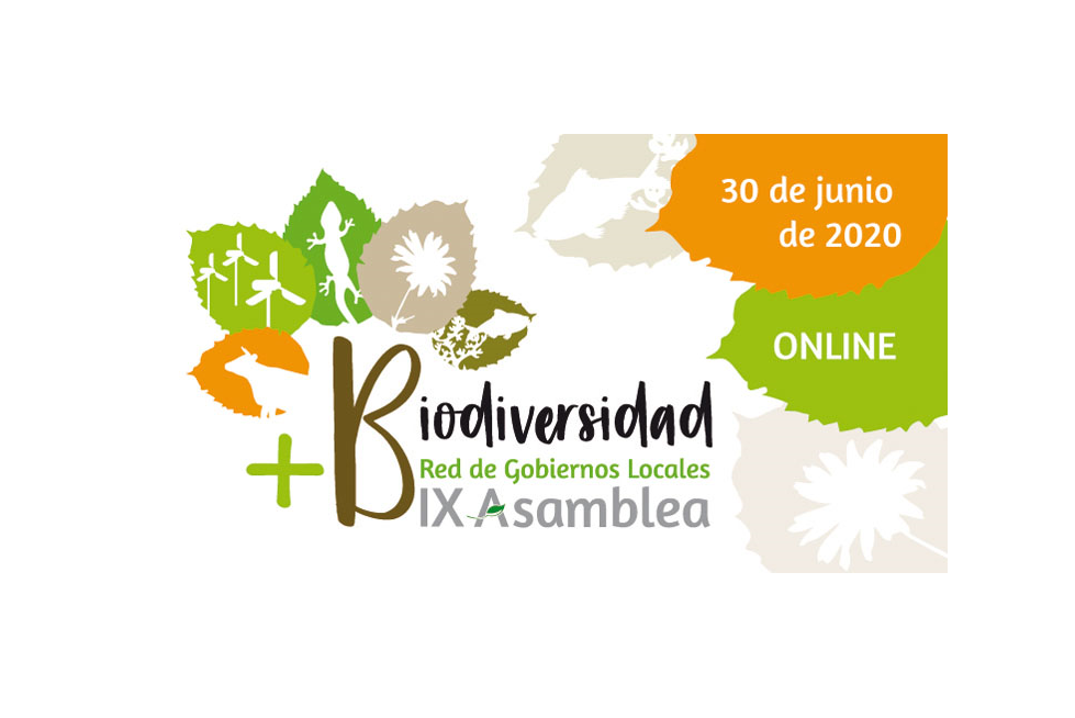 Asamblea
