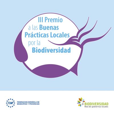 Bases III Premio