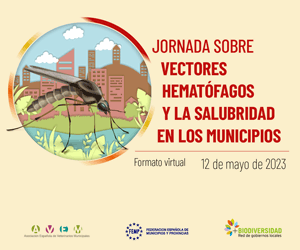 Imagen1