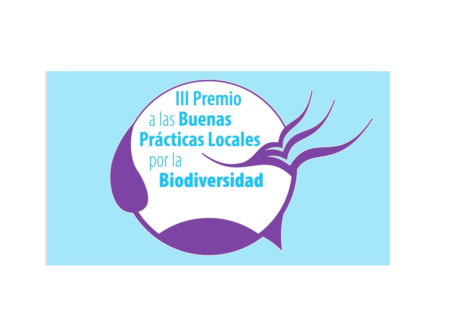 Bases III Premio