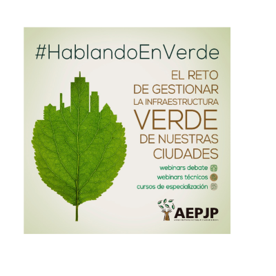Verde 4