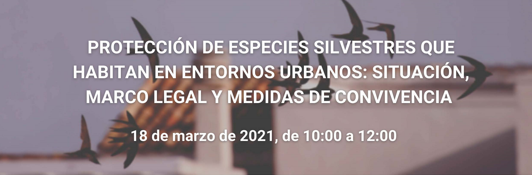 Protección de especies silvestres que habitan en entornos urbanos