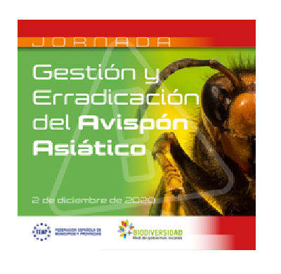 Jornada Avispón Asiático