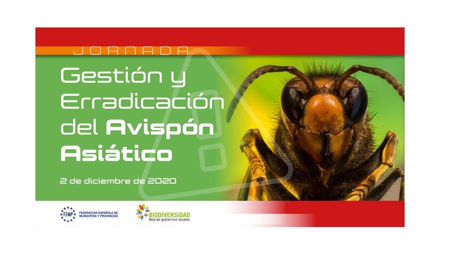 Jornada Avispón Asiático