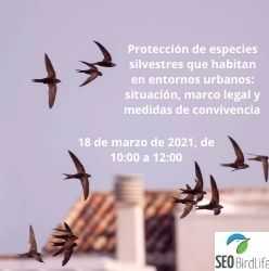 Protección de especies silvestres que habitan en entornos urbanos