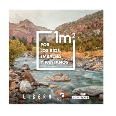 Libera portada