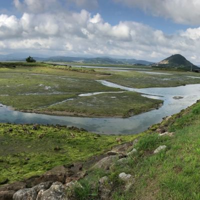 Santoña marshes