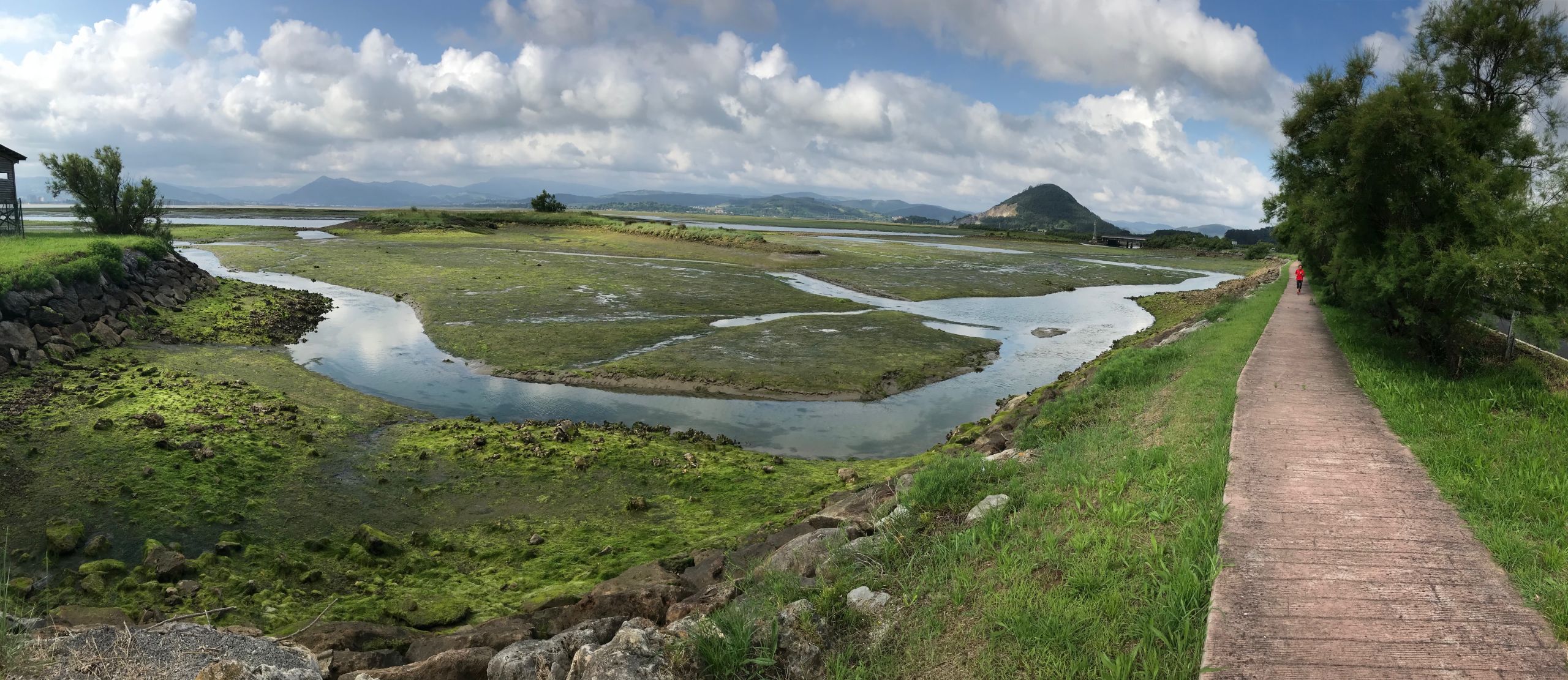 Santoña marshes