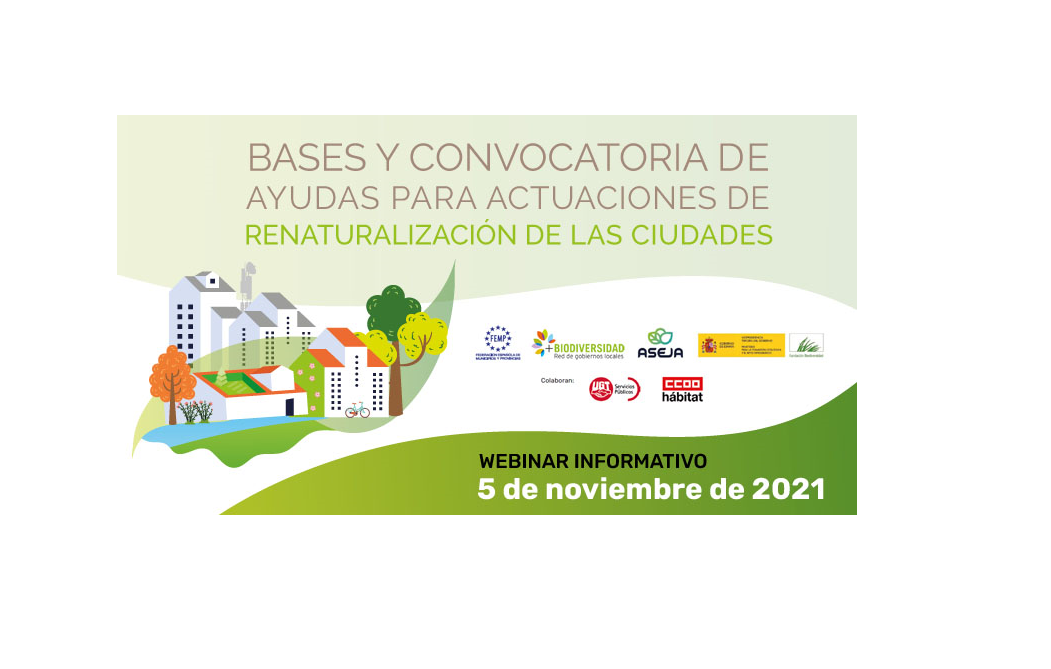 Webinar Recomendaciones