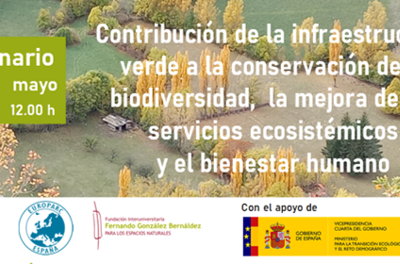 Webinario PROCONECTA 21