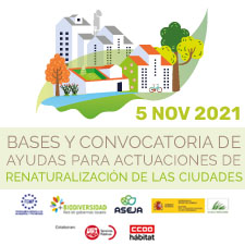 Webinar Recomendaciones