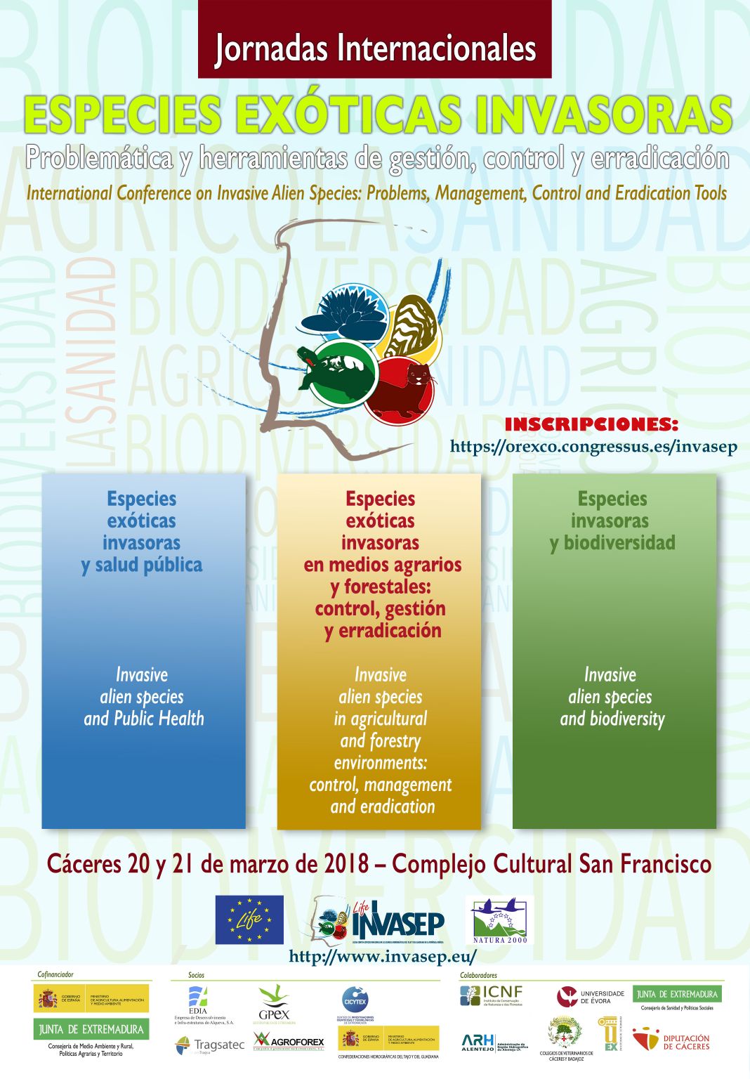 cartel jornadas int eei