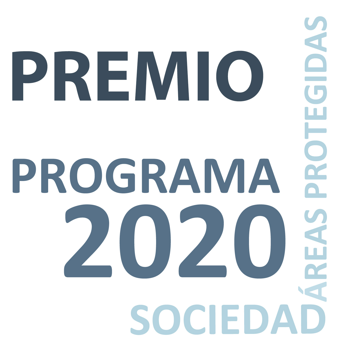 logo 2020 experiencias